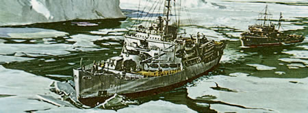 NAVIO QUEBRA GELO USS BURTON ISLAND ESC.: 1/285
