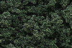 FOLHAGEM FOLIAGE VERDE ESCURO PCTE.: C/ 30g