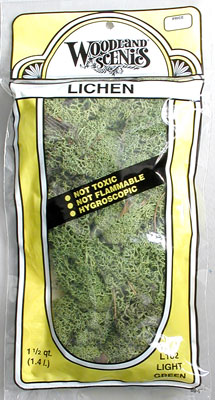 LICHEN FOLHAGEM VERDE CLARO PRIMAVERA PCTE.: C/ 180g