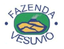 vesuvio clube de modelismo